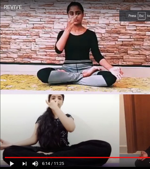 Pic1 International Yoga Day tr