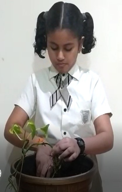 environmentday