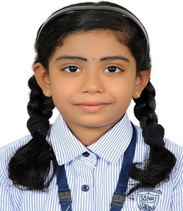vyga
