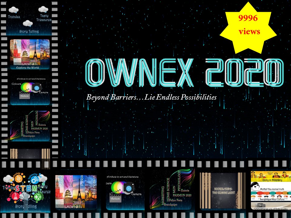 Ownex 1